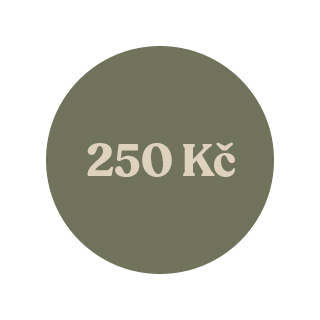 250 Kč